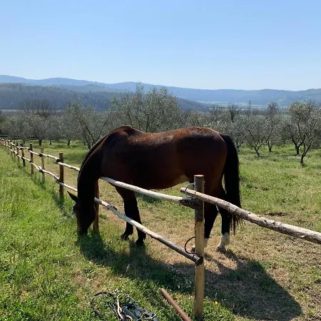 Podere I Massoni Farm stay