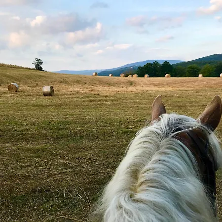 Farm stay Podere I Massoni Monterotondo (Tuscany)