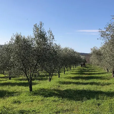 Podere I Massoni *