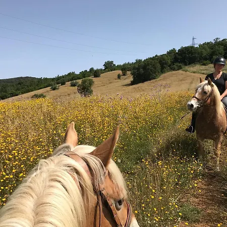 Podere I Massoni Farm stay