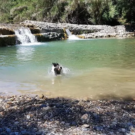 Podere I Massoni Farm stay Monterotondo (Tuscany)